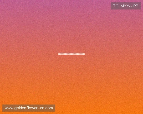 山东体育频道：助力全民健身打造运动文化新高地